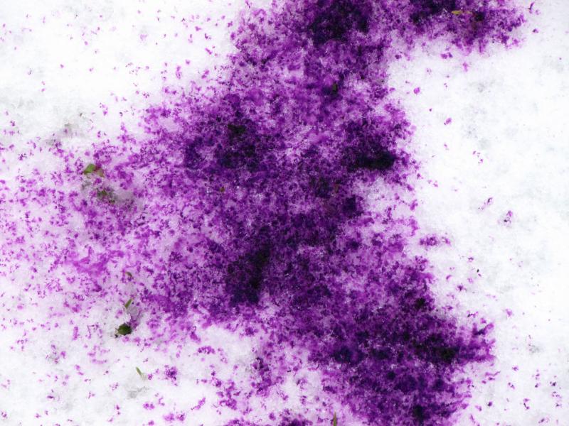 Nervi a neurodermatitis